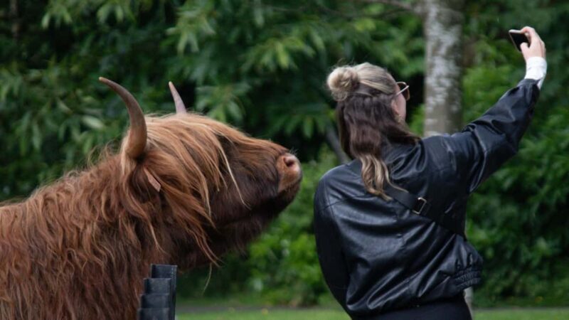 St Andrews Fishing Villages Fife Private Tour from Edinburgh - Key Points