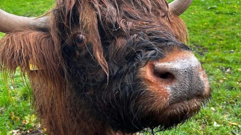 St Andrews Fishing Villages Fife Private Tour from Edinburgh - Frequently Asked Questions