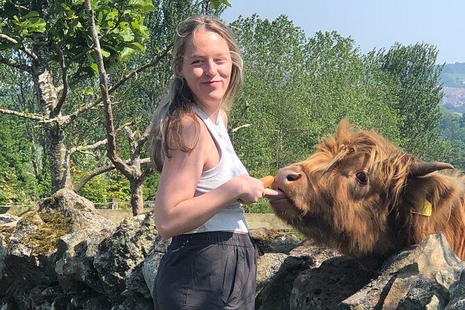 St Andrews & Fishing Villages of Fife Private Tour from Edinburgh - An In-Depth Review of the Tour Experience