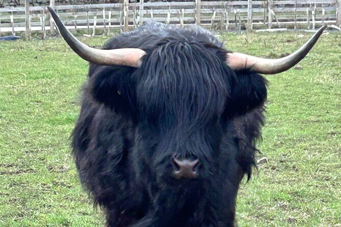 St Andrews & Fishing Villages of Fife Private Tour from Glasgow - Why This Tour Stands Out