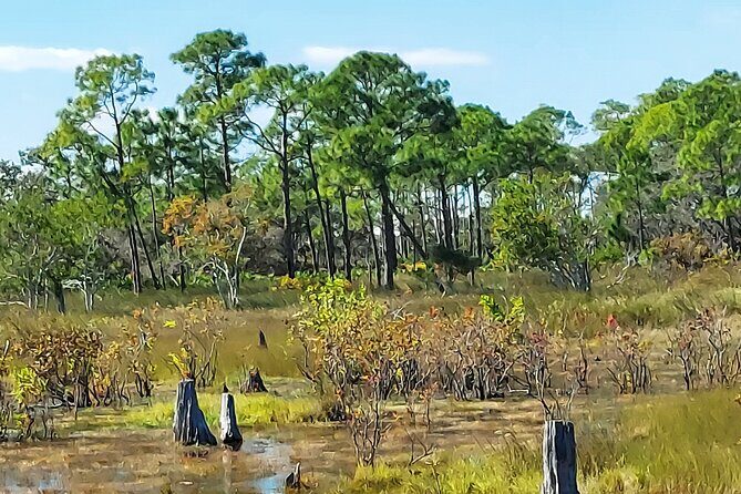 St. Andrews State Park Sunset Cruise - FAQ