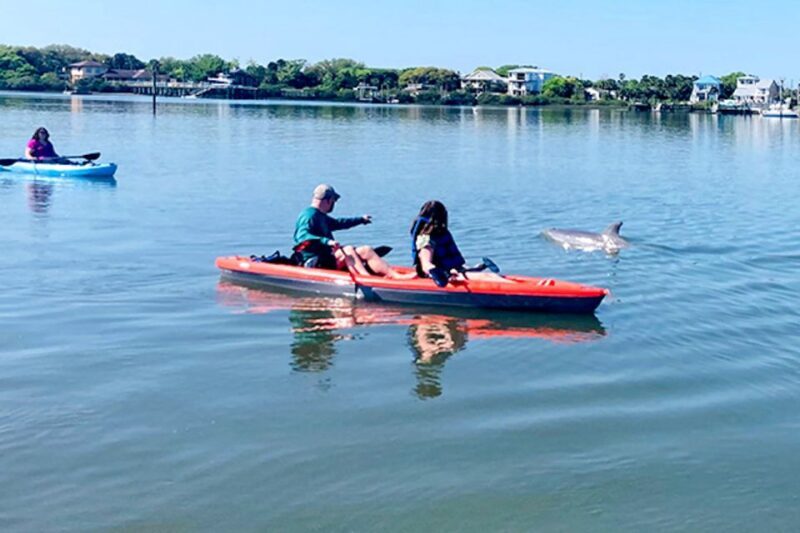 St. Augustine: Dolphin and Manatee Paddle or Kayak Tour - A Detailed Look at the Experience