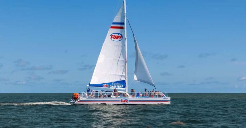 St. Augustine: Dolphin Watching Harbor Tour with Drinks - What to Expect on the Dolphin Watching Harbor Tour