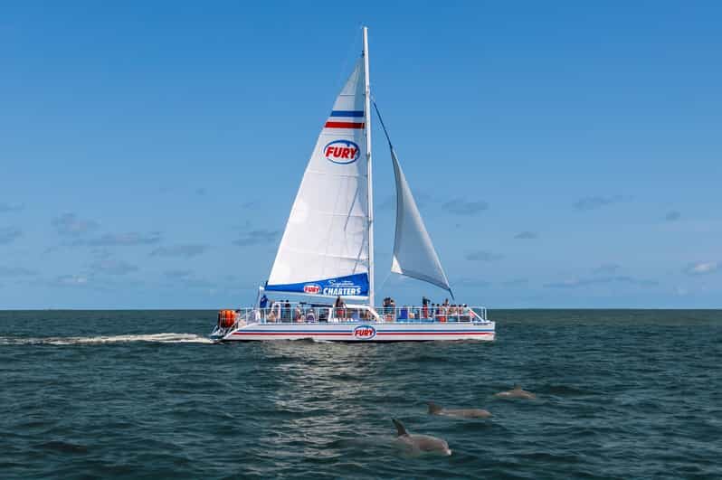 St. Augustine: Dolphin Watching Harbor Tour with Drinks - Why This Tour Offers Good Value
