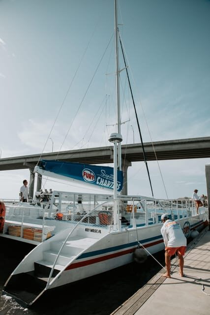 St. Augustine: Dolphin Watching Harbor Tour with Drinks - Practical Tips for a Great Experience