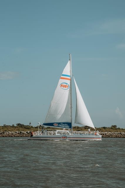 St. Augustine: Dolphin Watching Harbor Tour with Drinks - Frequently Asked Questions