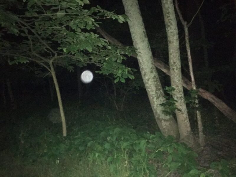 St. Augustine: Evening Paranormal Investigation Tour - Key Points