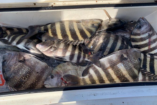 St. Augustine Fishing Charter-23' - What to Expect from the St. Augustine Fishing Charter-23’