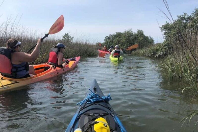 St. Augustine: Salt Marsh Kayak Tour - Frequently Asked Questions