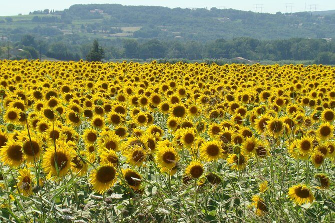 St Cirq LaPopie and Pech Merle Cavern Tour from Toulouse - Practical Details