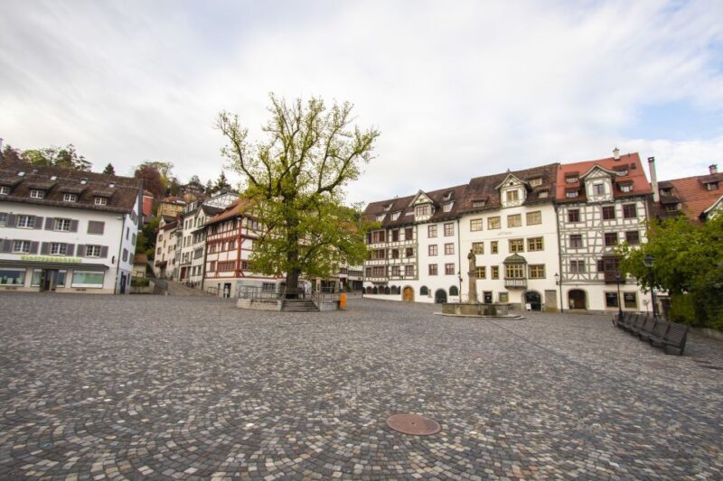 St. Gallen: Guided University Art Tour - Key Points