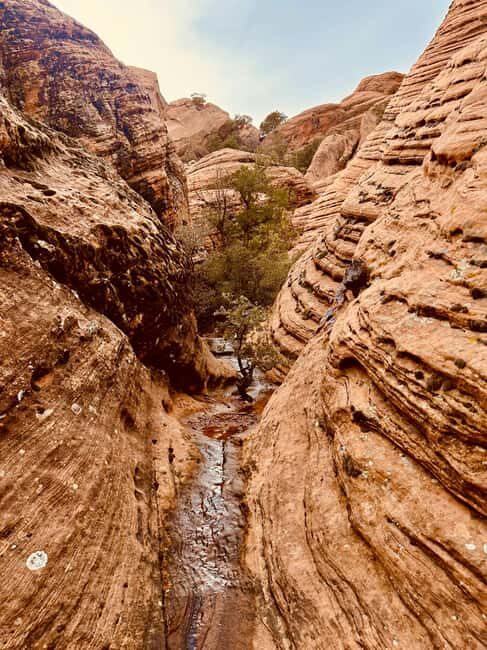 St. George: Jeep Exploration Slot Canyon & Rock Formations - Key Points