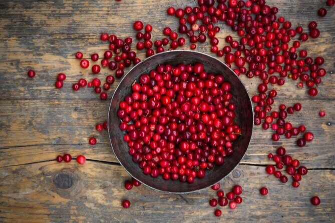 St. John's 3 Hour Newfoundland Food Tour - What to Expect from the Itinerary