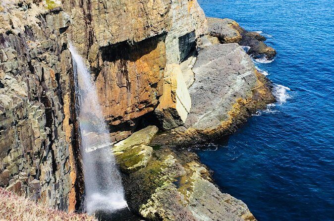 St. John's Coastal Hike with Top Local Guide Deneen - Who Will Love This Tour?