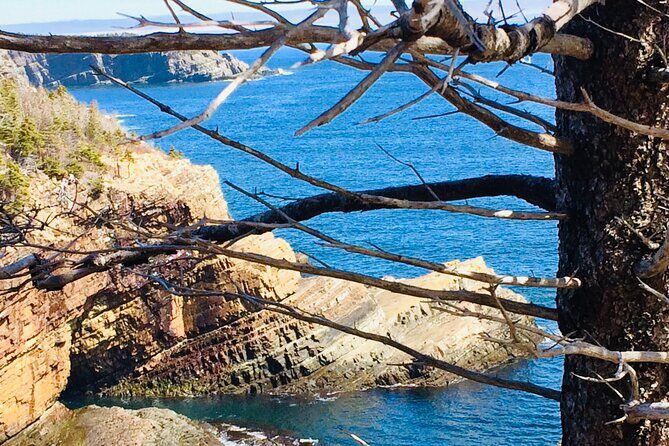 St. John's Coastal Hike with Top Local Guide Deneen - FAQ