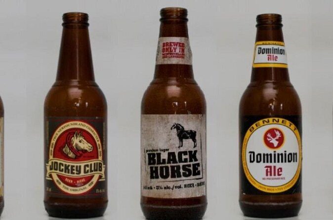 St. John's Local Pub Tour & History Lesson - The Sum Up