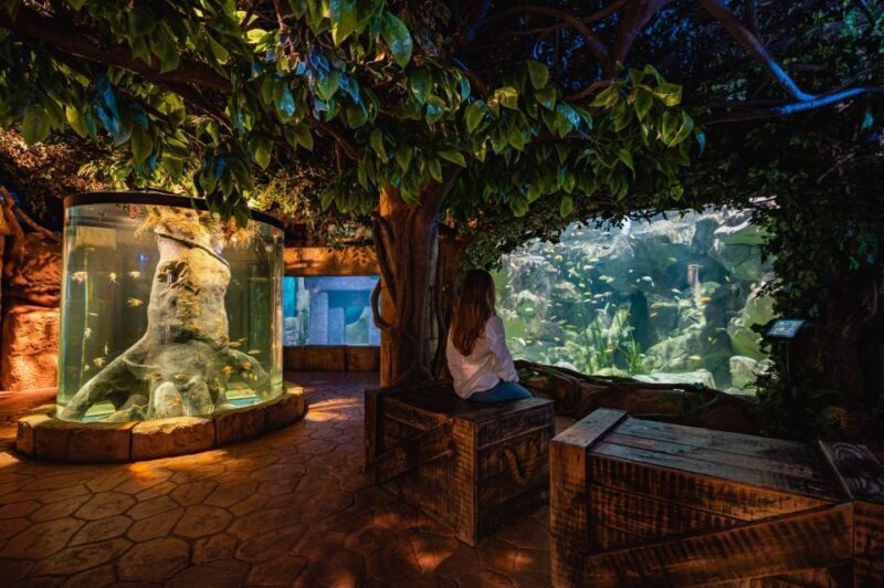 St Paul's Bay: Malta National Aquarium Entry Ticket - A Detailed Look at Malta’s National Aquarium