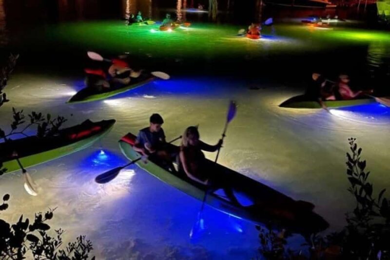 St. Pete Beach: Glass Bottom Kayak Fish Feeding Night Tour - The Itinerary and Experience