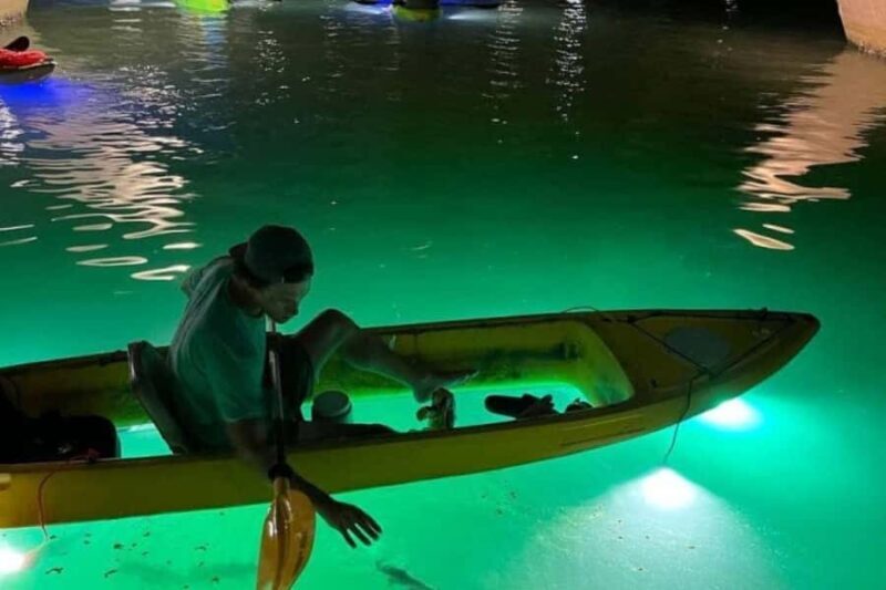 St. Pete Beach: Glass Bottom Kayak Fish Feeding Night Tour - Why We Think It’s Worth Doing