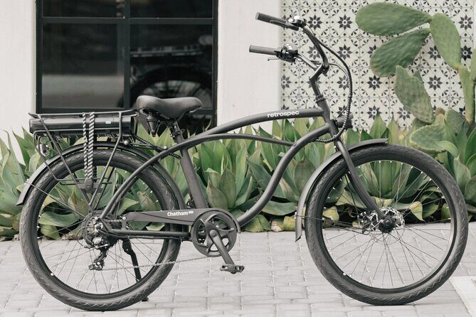 St Pete E-Bike Rentals - Authentic Insights from Reviewers