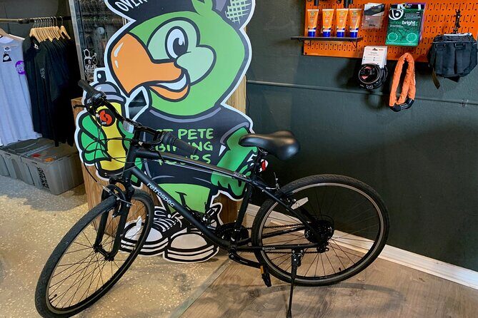 St Pete E-Bike Rentals - Who Will Enjoy This Experience Most?