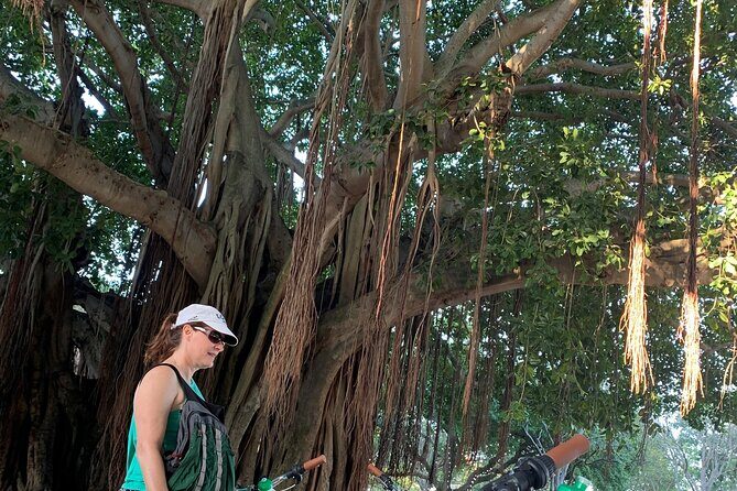 St Pete Ebike Tour with Lunch - Why Choose This Tour?