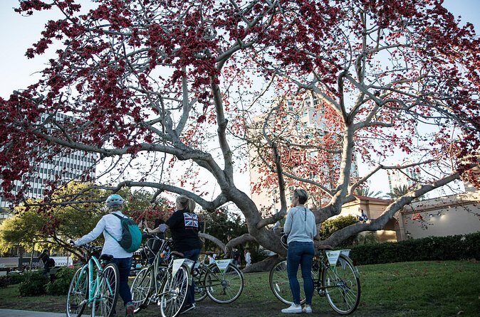 St Pete Ebike Tour with Lunch - Start at 1975 3rd Ave S