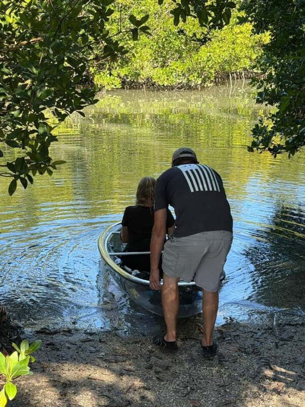 St. Petersburg: Clam Bayou Nature Preserve Clear Kayak Tour - Exploring the Mangrove Tunnels