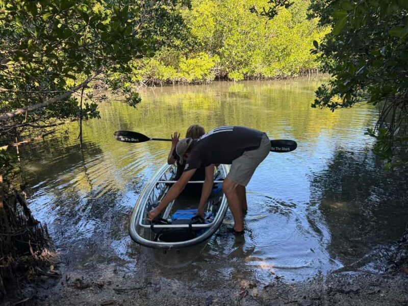 St. Petersburg: Clam Bayou Nature Preserve Clear Kayak Tour - Water Life and Ecosystem Insights