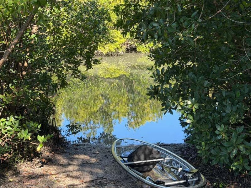 St. Petersburg: Clam Bayou Nature Preserve Clear Kayak Tour - The Experience: A Balance of Serenity and Excitement