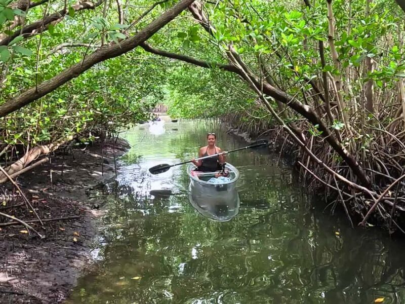St. Petersburg: Clear Kayak Rental at Clam Bayou Nature Park - FAQ