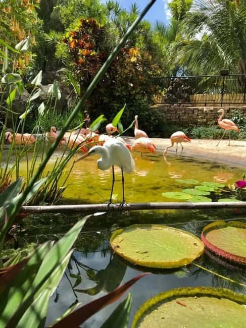 St. Petersburg: Eco Segway Tour with Sunken Gardens - Key Points