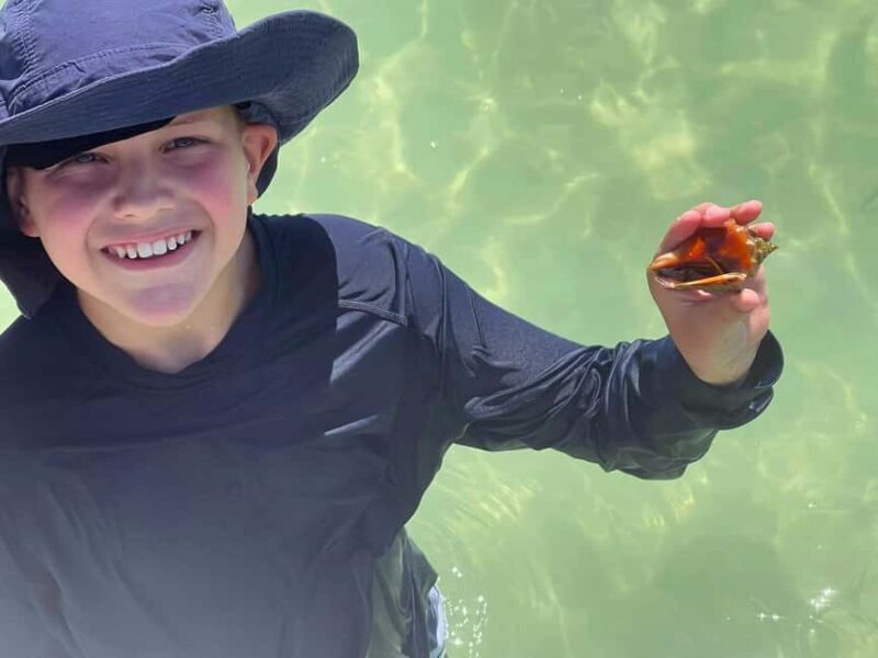 St. Petersburg, FL: 3-Hour Eco Tour with Island Hopping - Analyzing the Value