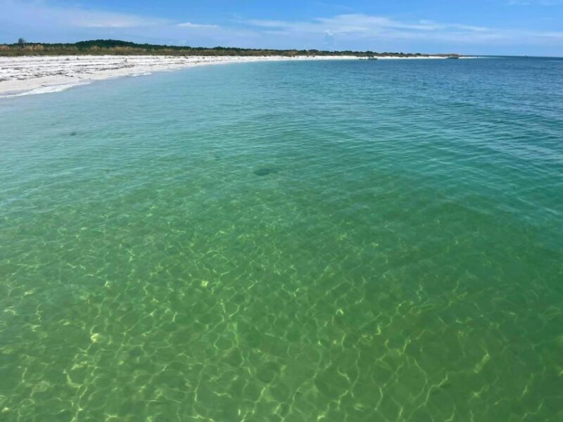 St. Petersburg, FL: 4-Hour Private Beach Tour - The Sum Up