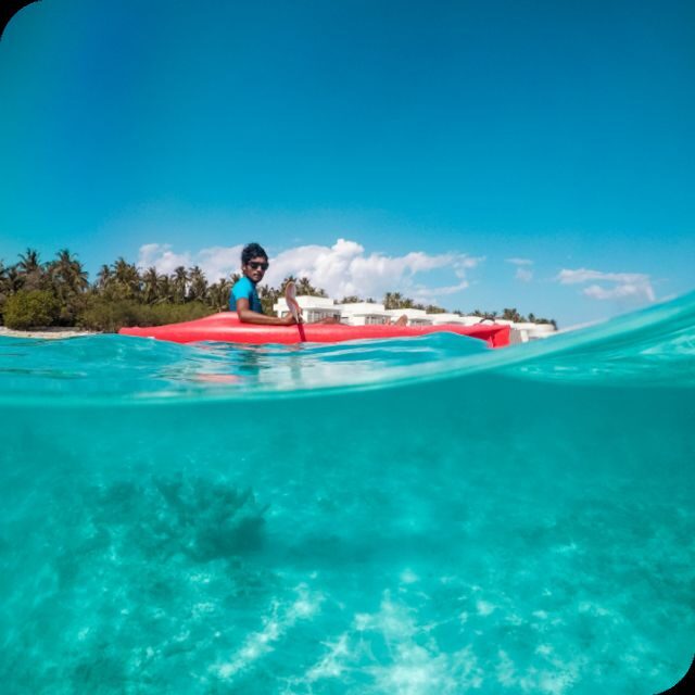 St. Petersburg, FL: Weedon Island Kayak Tour - Key Points