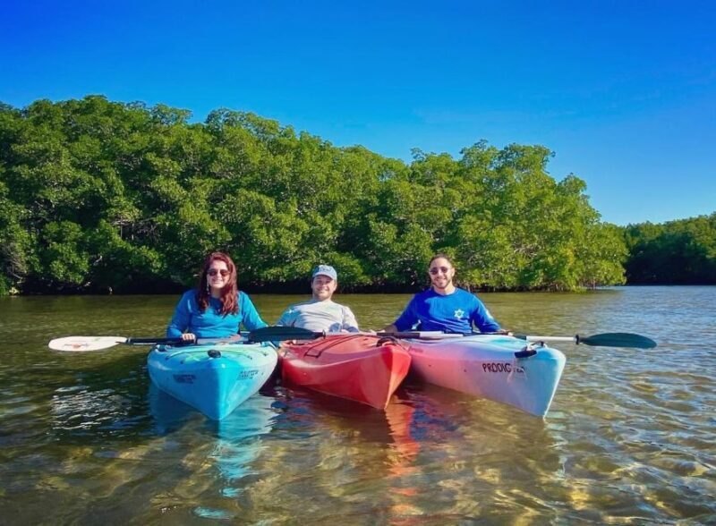 St. Petersburg, FL: Weedon Island Kayak Tour - An In-Depth Look at the Weedon Island Kayak Tour