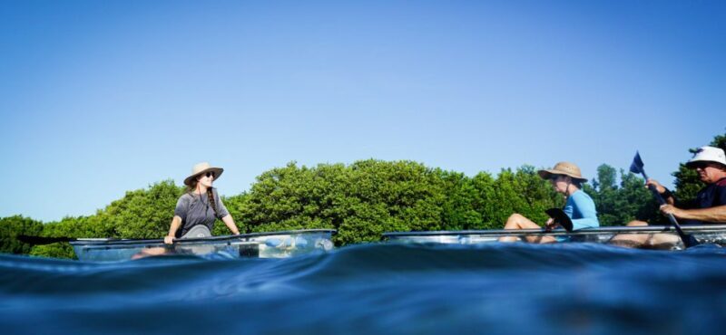 St. Petersburg, FL: Weedon Island Kayak Tour - FAQ