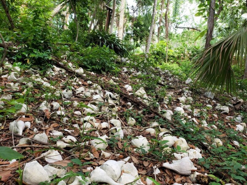 St. Petersburg: Jungle Prada Site History Tour - Is It Worth the Price?