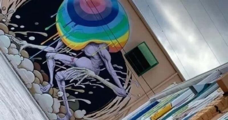 St. Petersburg: Mural Biking Tour - Exploring the Vibrant Street Art of St. Petersburg on a Mural Biking Tour