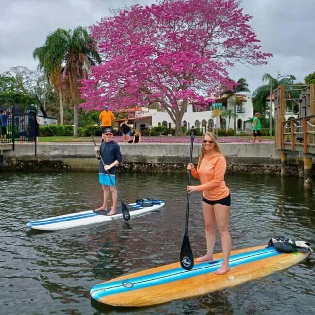 St. Petersburg: Paddle Board Tour with Wildlife Spotting - Key Points