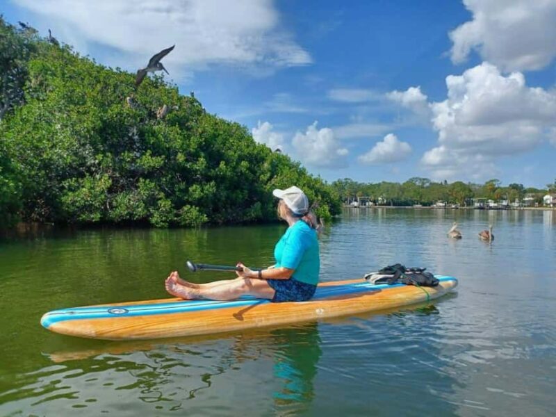 St. Petersburg: Paddle Board Tour with Wildlife Spotting - Final Thoughts: Who Is This Tour Best For?