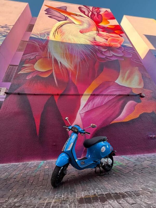 St. Petersburg: Self-Guided Vespa Mural Tour - Value and Practical Details