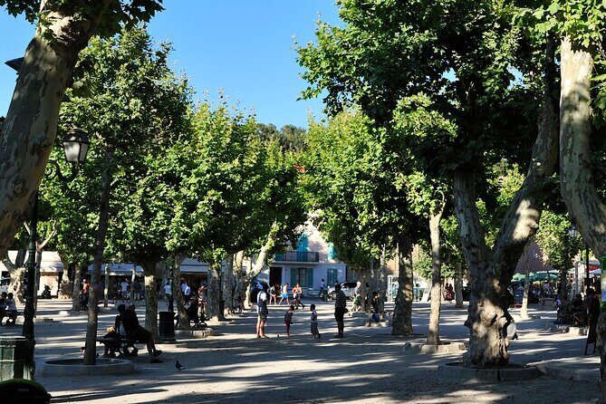 St-Tropez Day Tour from Cannes Small-Group and Shore Excursion - Frequently Asked Questions