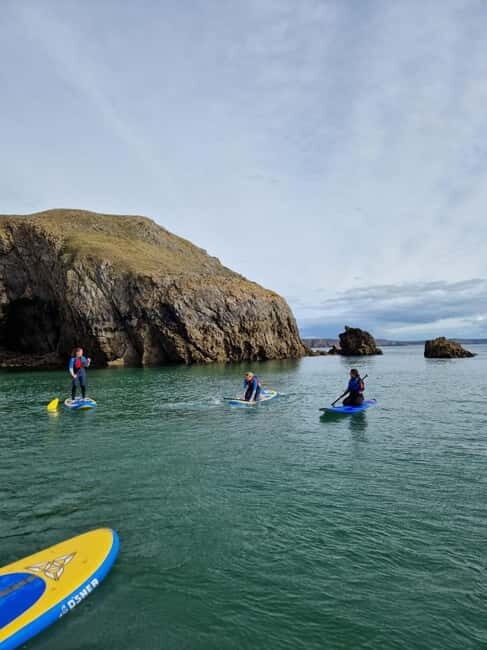 Stackpole Quay: Paddle Boarding Tour - Key Points