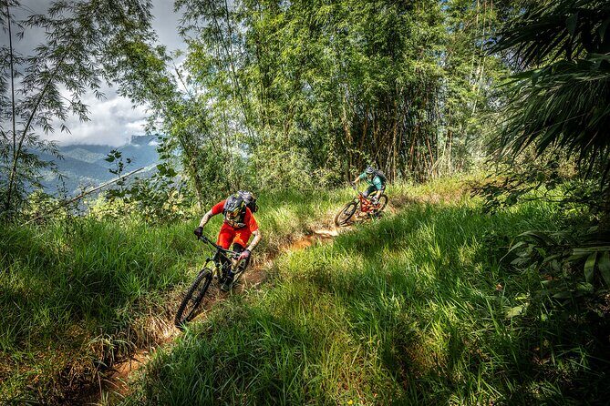 Stairway to Heaven Trail Mountain Biking Tour Chiang Mai - Key Points
