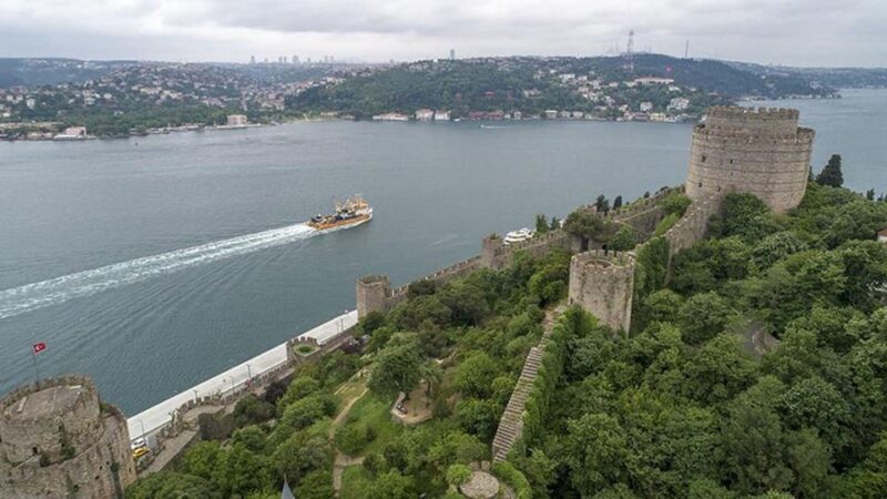 stanbul: Afternoon Bosphorus and Black Sea Cruise - A Closer Look at the Experience