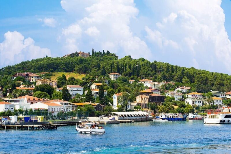 stanbul: Prince Island Full Day Tour - Who Is This Tour Best Suited For?