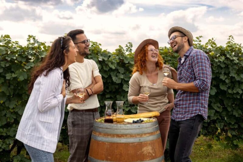 Stancija Collis: A Private Winery adventure in Rovinj - An In-Depth Look at the Stancija Collis Winery Tour