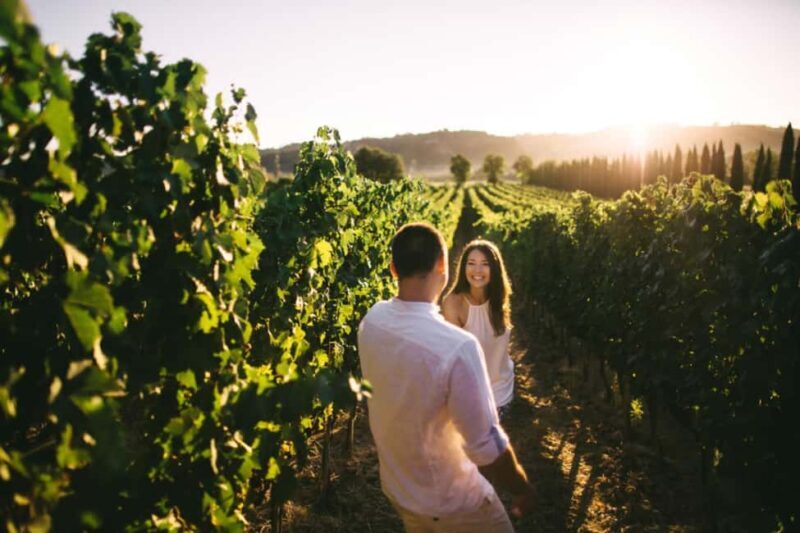 Stancija Collis: A Private Winery adventure in Rovinj - Practical Details: What You Need to Know