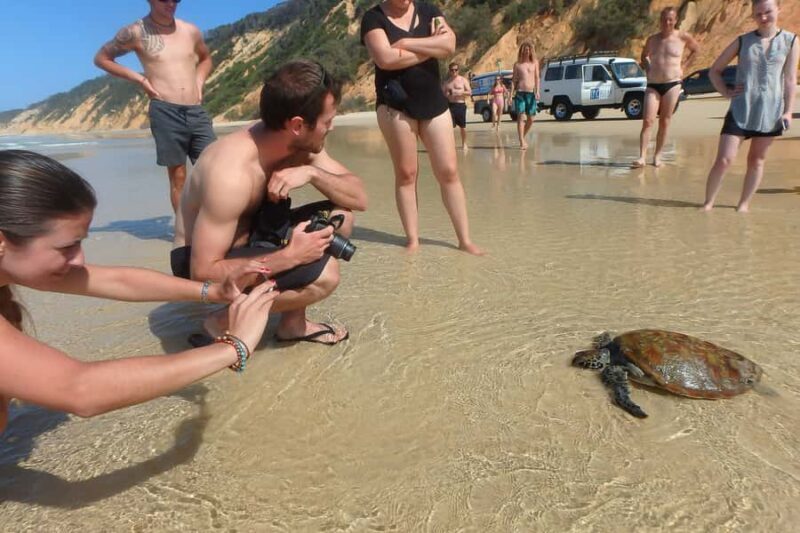 Stand Up Paddle at Double Island Point + 4x4 Beach Drive - FAQ